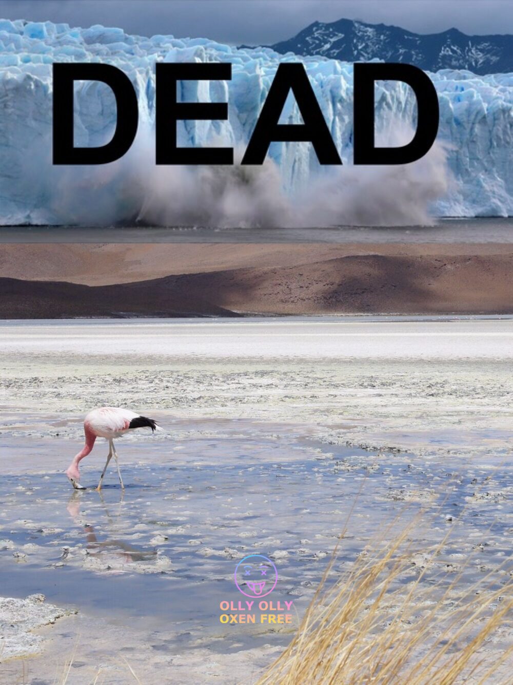 DEAD poster